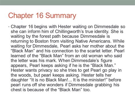 chapter 13 scarlet letter summary|why did hester commit adultery.